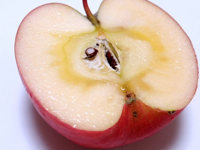 お腹スッキリ！りんごの驚くべき整腸パワーで毎日をもっと心地よく。食べ方次第で効果倍増！？