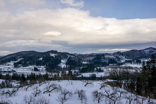 山形のりんごが美味しい理由 ～一度は味わいたい、風土と人の手しごとが育む実り～